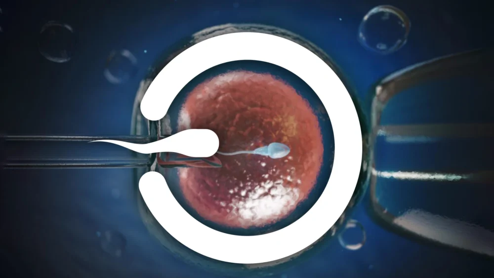 0vaneasis logo 1